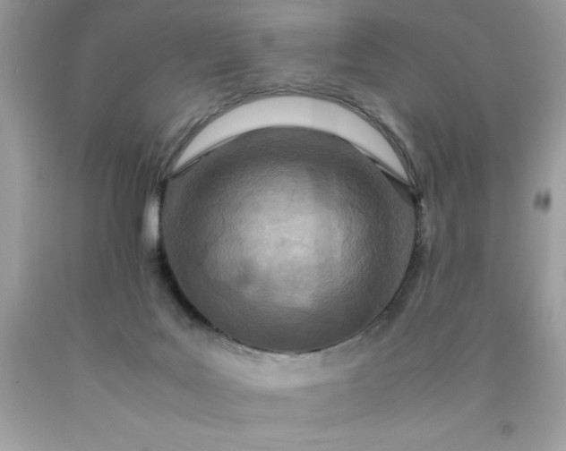 X0000090490027200707272350