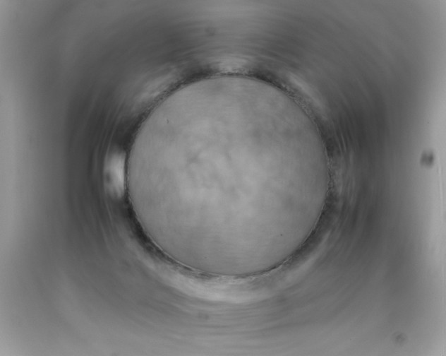 X0000090490028200707272350