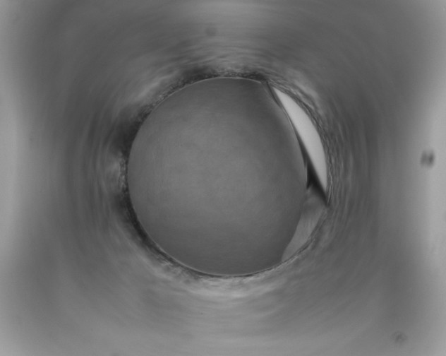 X0000090490029200707272350
