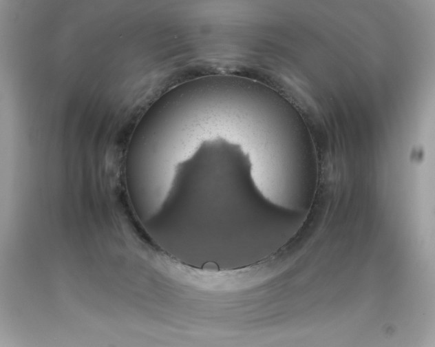 X0000090490030200707272350