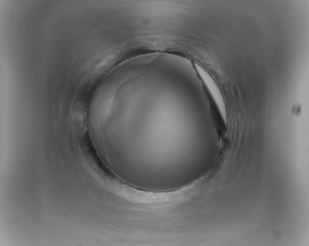 X0000090490031200707272350