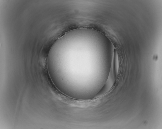 X0000090490033200707272350