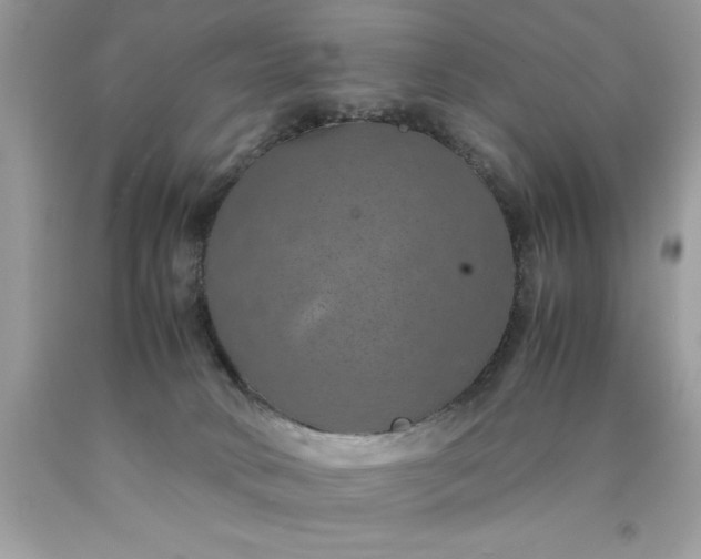 X0000090490034200707272350