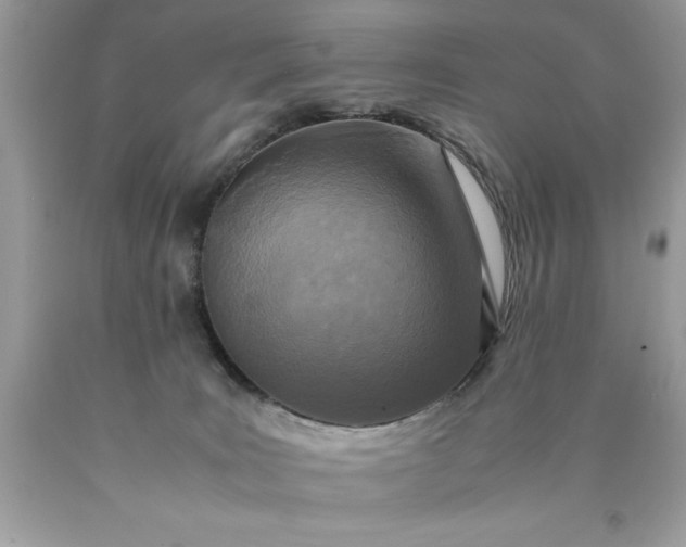 X0000090490035200707272350