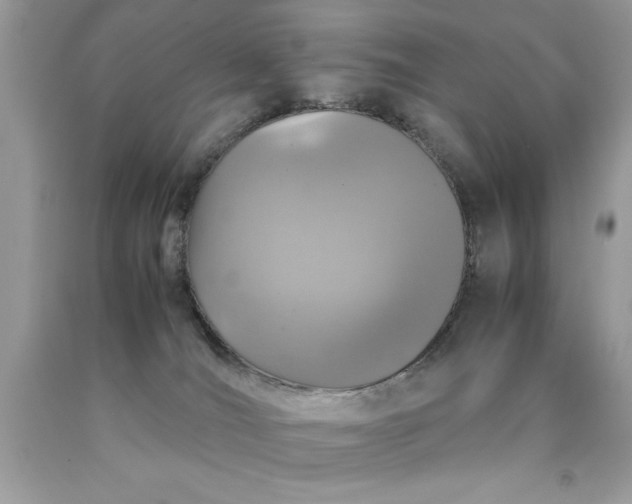 X0000090490036200707272350