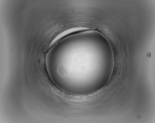 X0000090490037200707272350