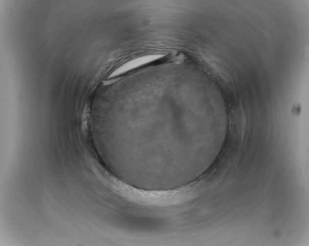 X0000090490038200707272350