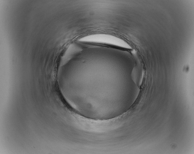 X0000090490039200707272350