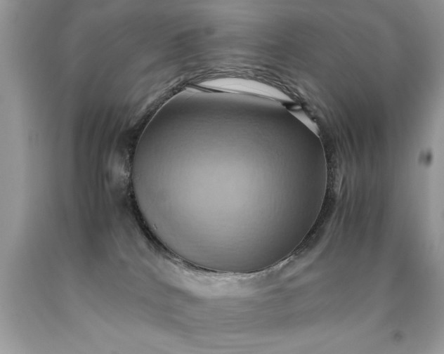 X0000090490040200707272350