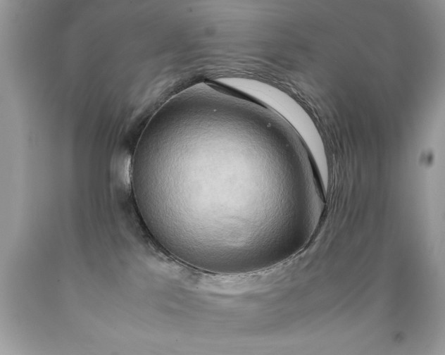 X0000090490041200707272350