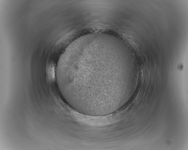 X0000090490042200707272350