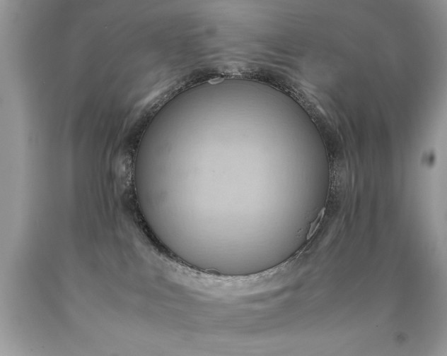 X0000090490043200707272350