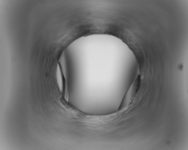X0000090490045200707272350