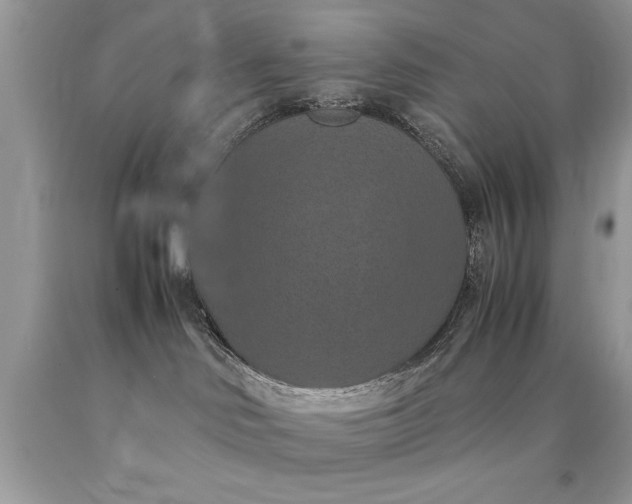 X0000090490046200707272350