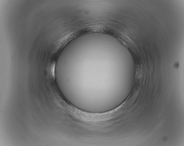 X0000090490047200707272350