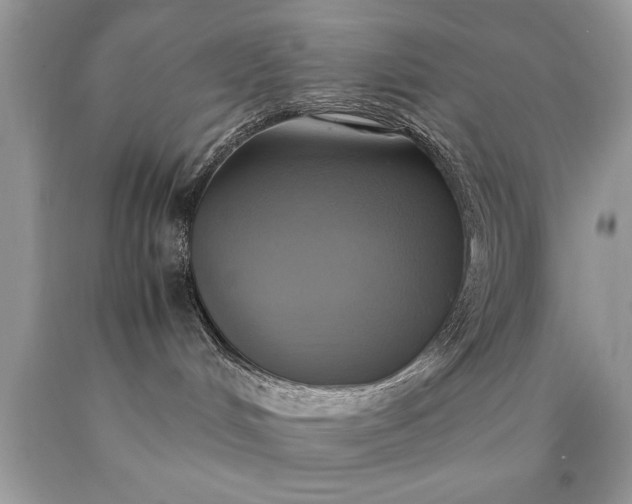X0000090490048200707272350