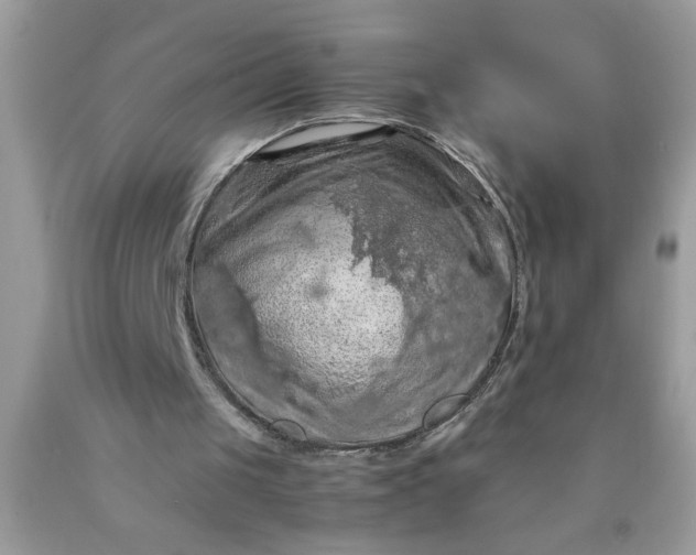 X0000090490049200707272349