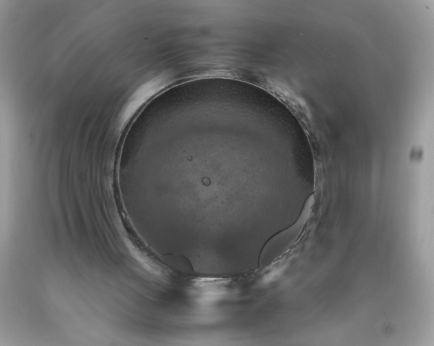 X0000090490051200707272349
