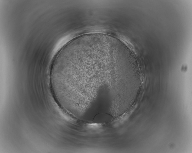 X0000090490053200707272349
