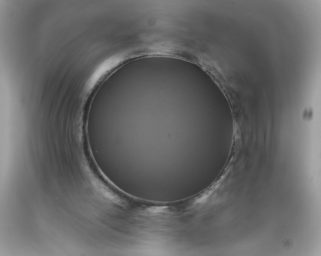 X0000090490054200707272349