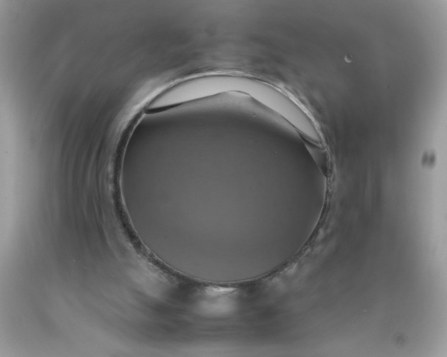 X0000090490055200707272349
