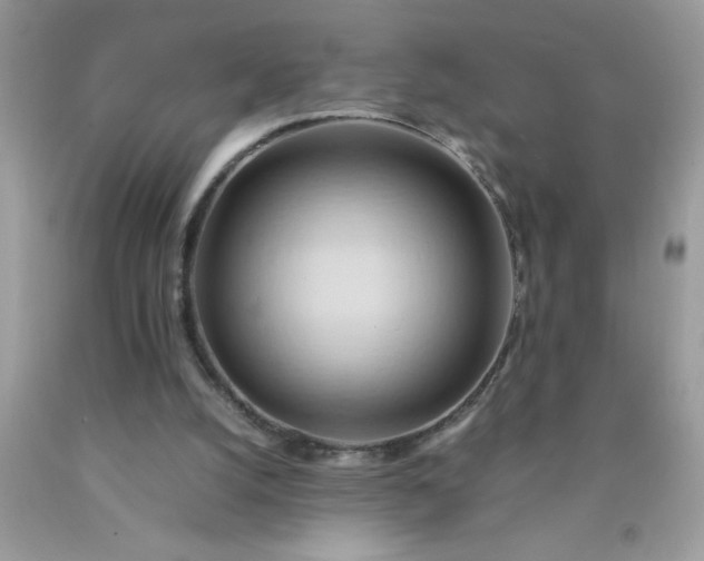 X0000090490056200707272349