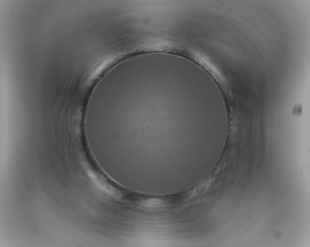 X0000090490058200707272349