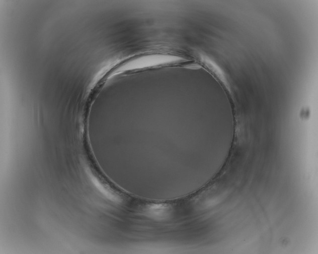 X0000090490059200707272349