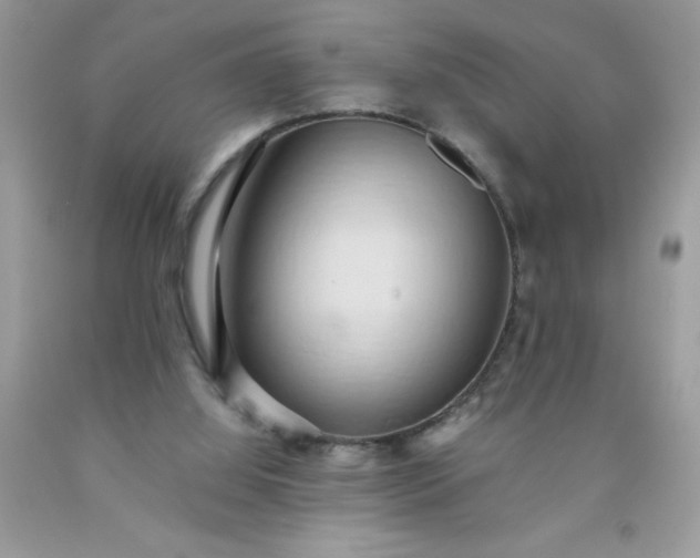 X0000090490060200707272349