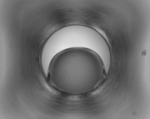 X0000090490061200707272349
