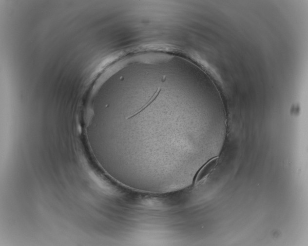 X0000090490062200707272349