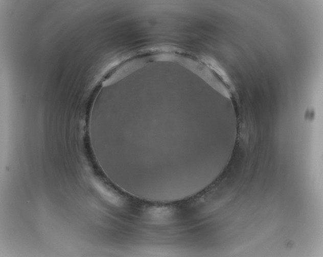 X0000090490063200707272349