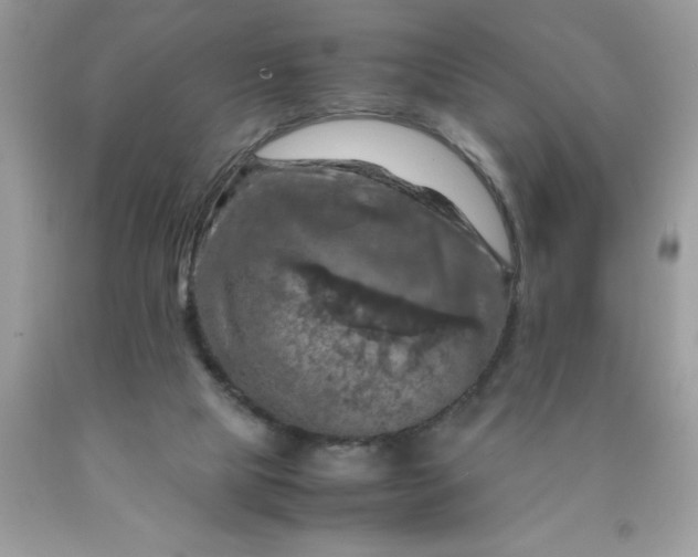 X0000090490065200707272349