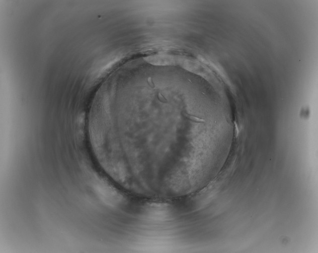 X0000090490066200707272349