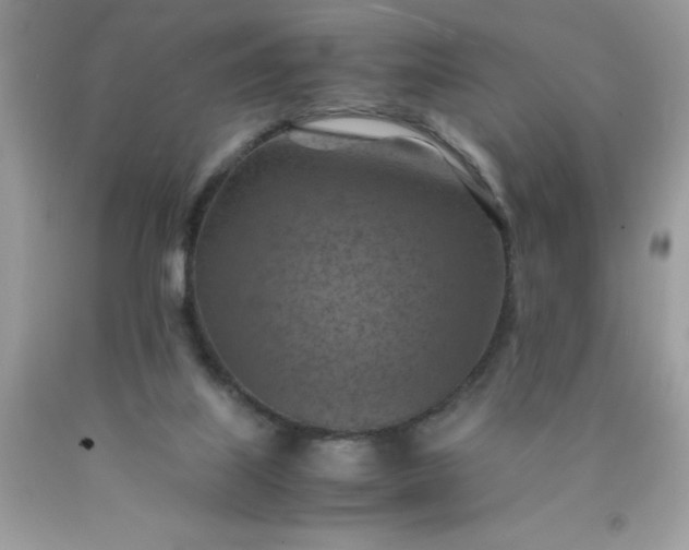 X0000090490067200707272349