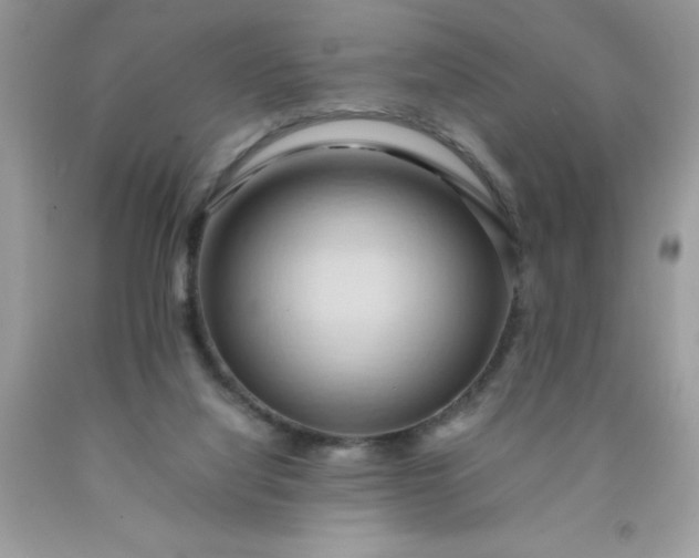 X0000090490068200707272349