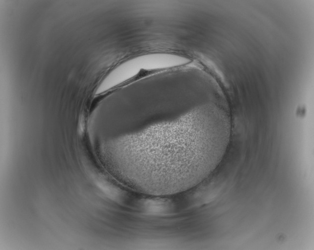 X0000090490069200707272349