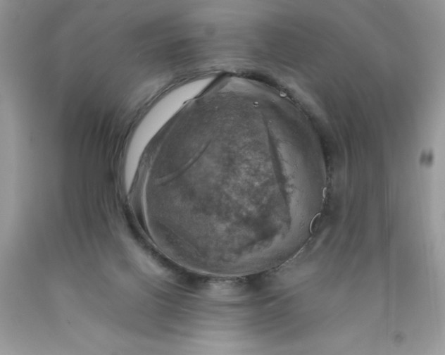 X0000090490070200707272349