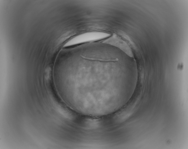X0000090490071200707272349