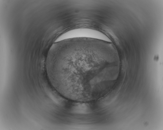 X0000090490073200707272349