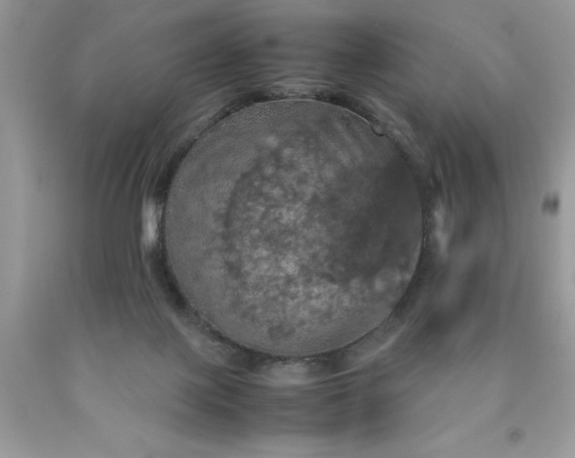 X0000090490075200707272349