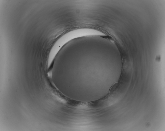 X0000090490076200707272349