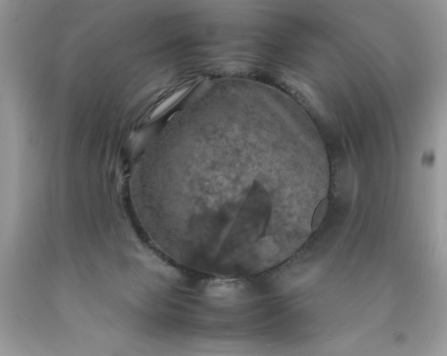 X0000090490077200707272349