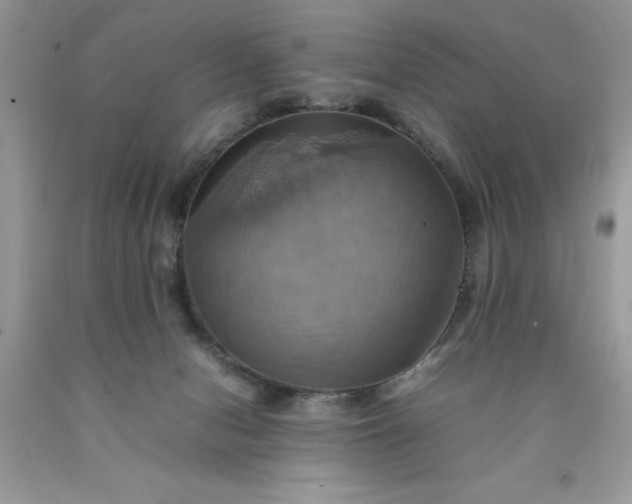 X0000090490078200707272349