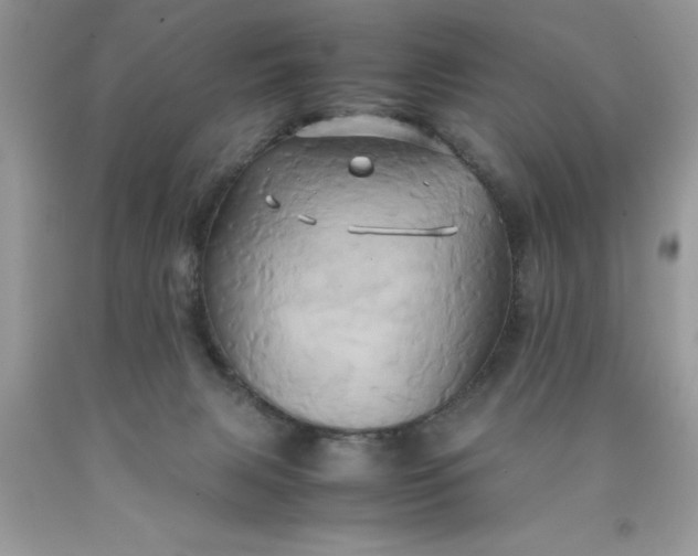 X0000090490079200707272349
