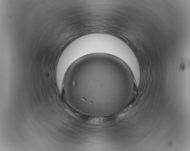 X0000090490084200707272349