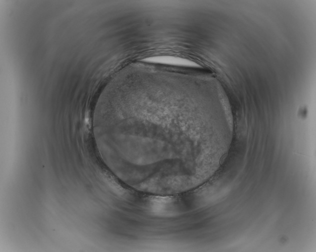 X0000090490085200707272349