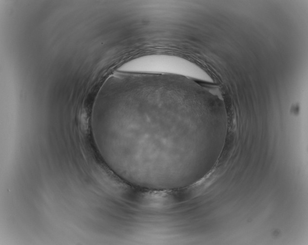 X0000090490086200707272349