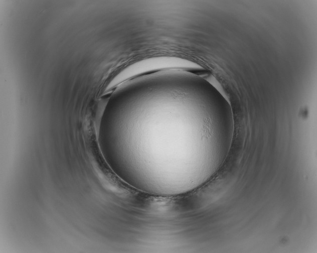 X0000090490088200707272349