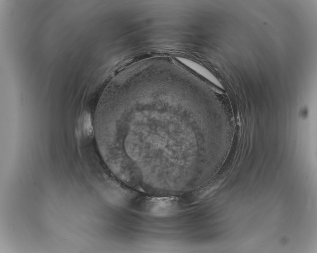 X0000090490089200707272349